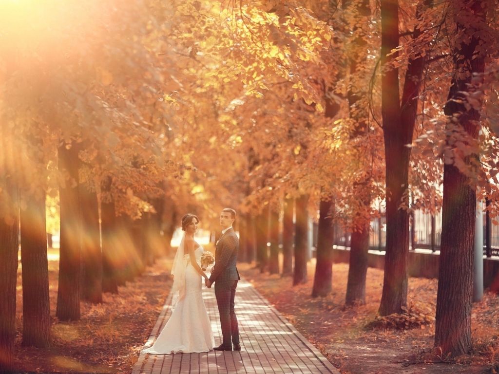 Hochzeitsfotos im Herbst Inspirationen herbstliche Allee
