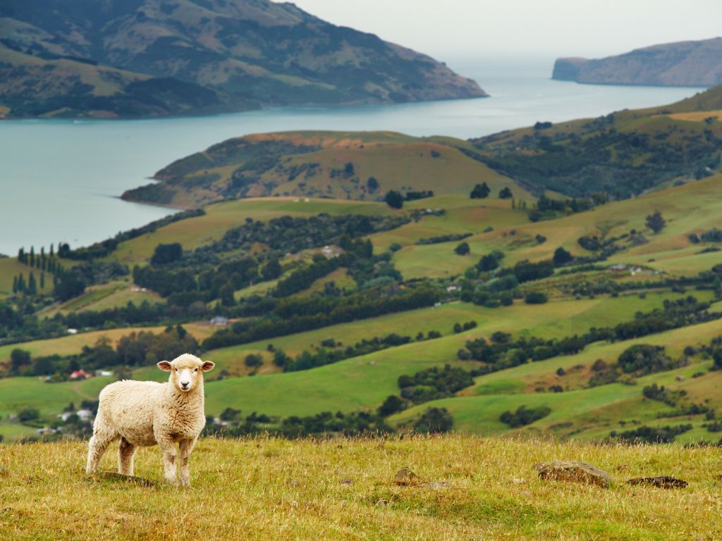 Flitterwochen Reiseziele - Neuseeland