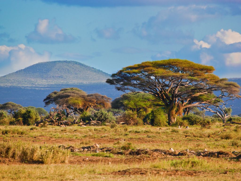 Flitterwochen Reiseziele - Südafrika